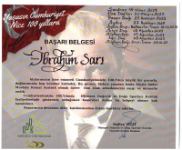 100. Yıl Yürüyüşü