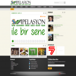 Apelasyon