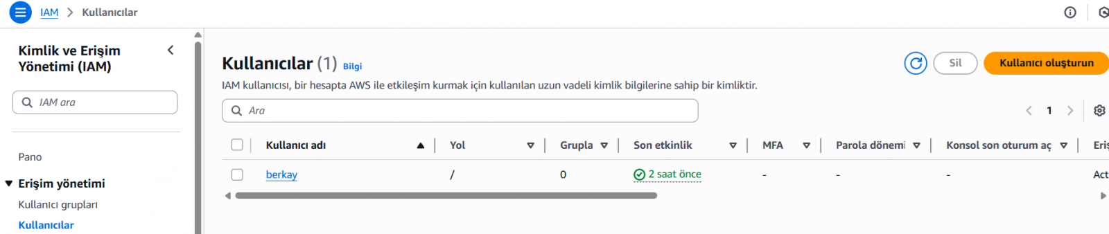 IAM kullanıcı erişimi