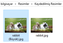 Hızlı Resim Boyutlandırma-3